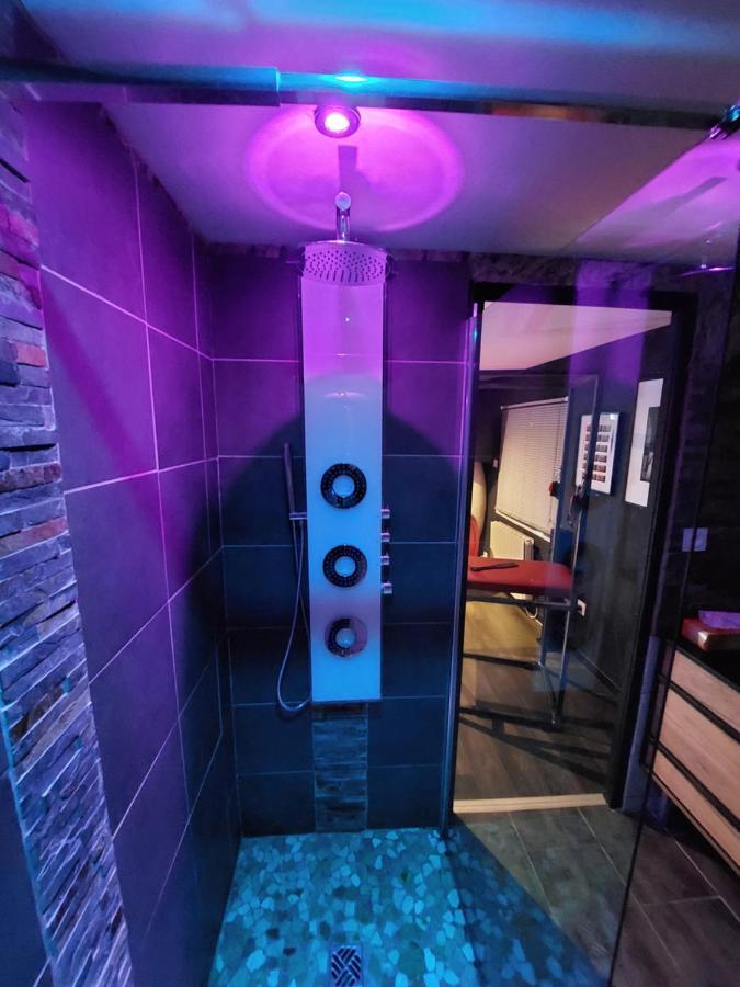 Plaisir Extreme Appartement Roanne